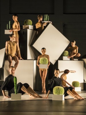 Sydney Dance Company:  "De Novo"